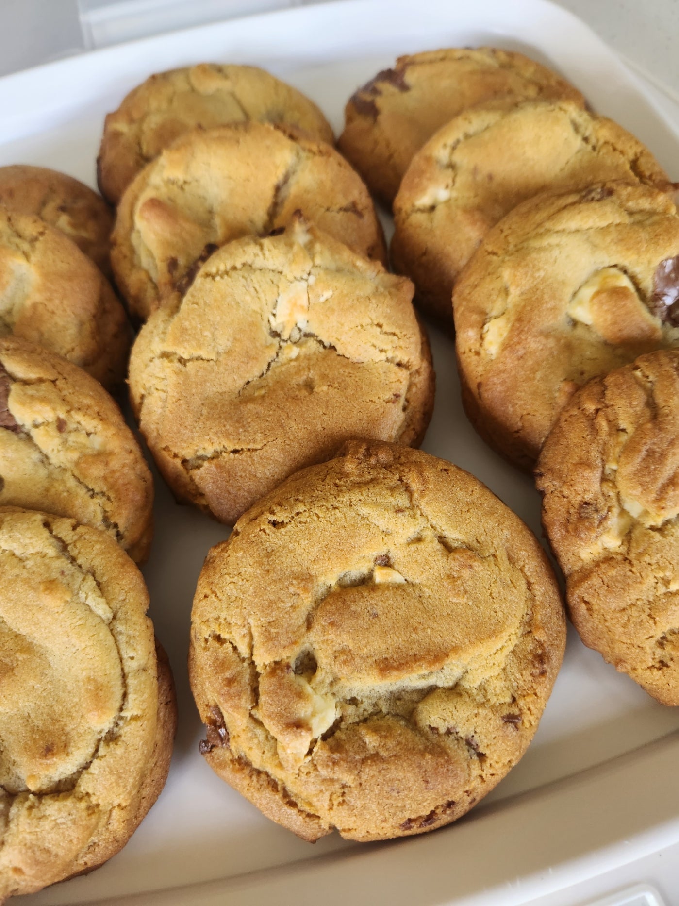 Big COOKIE Box! 12 Pack available for North Island Wide Delivery!!!