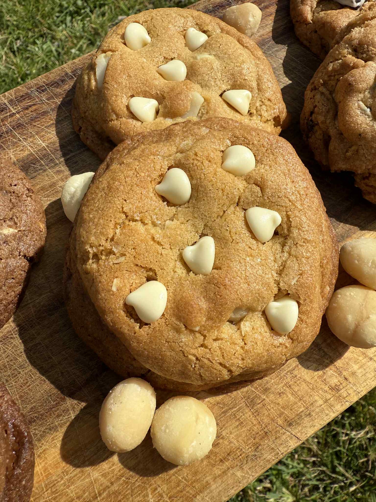 Macadamia & White Choc Cookies! 8 Pack!